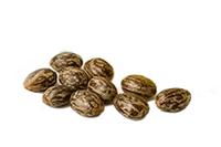 Huile de ricin biologique